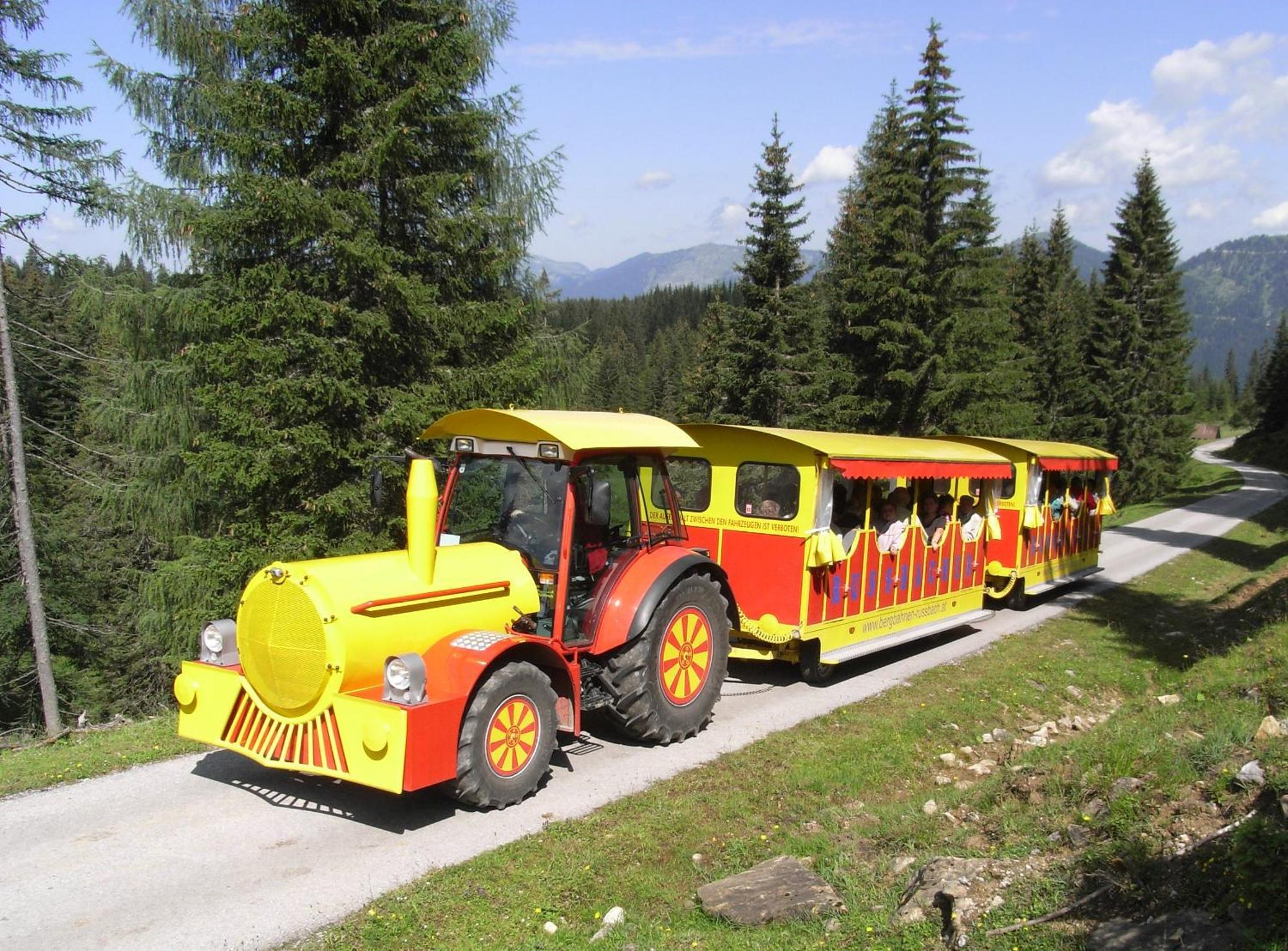 Dachstein West Hotel Gmbh-Kirchenwirt Russbach Russbach am Pass Gschütt Exterior foto